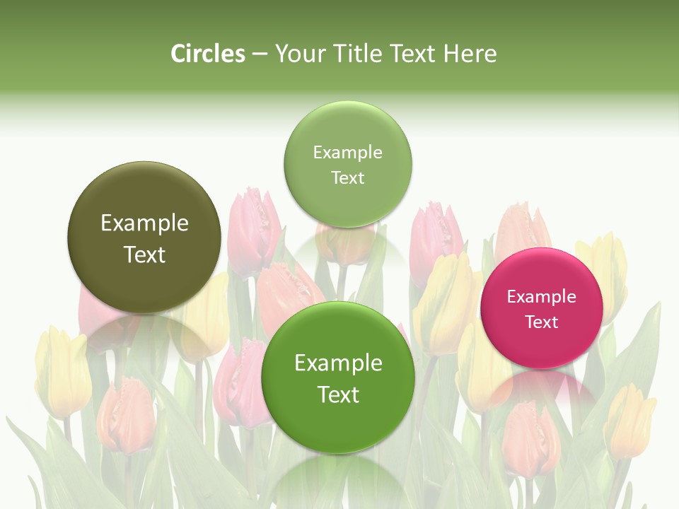 Arrangement Fresh Bouquet PowerPoint Template