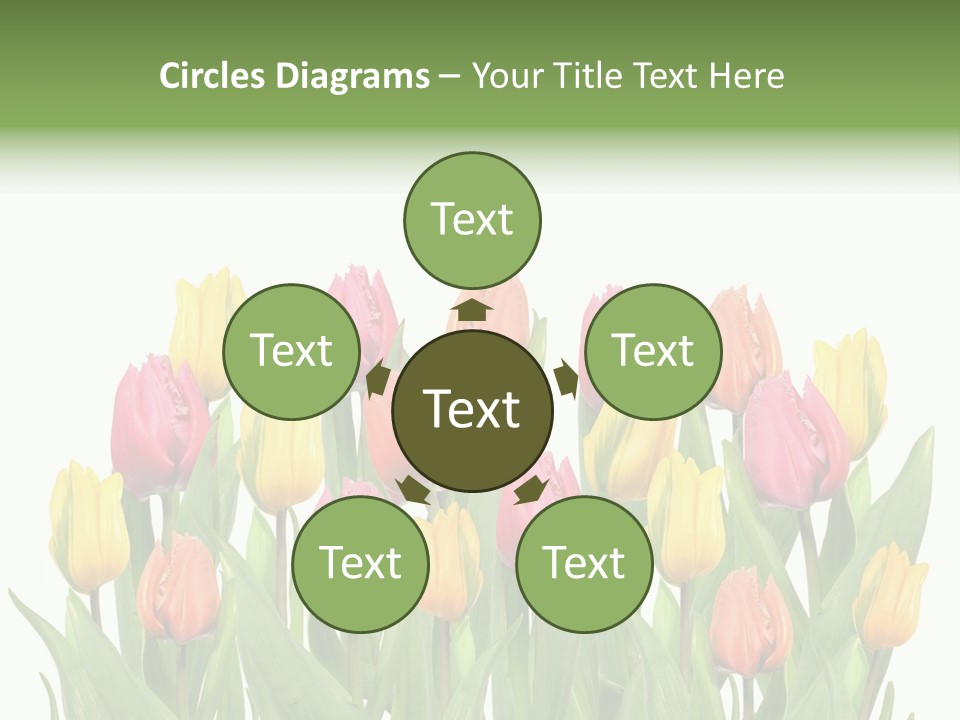 Arrangement Fresh Bouquet PowerPoint Template