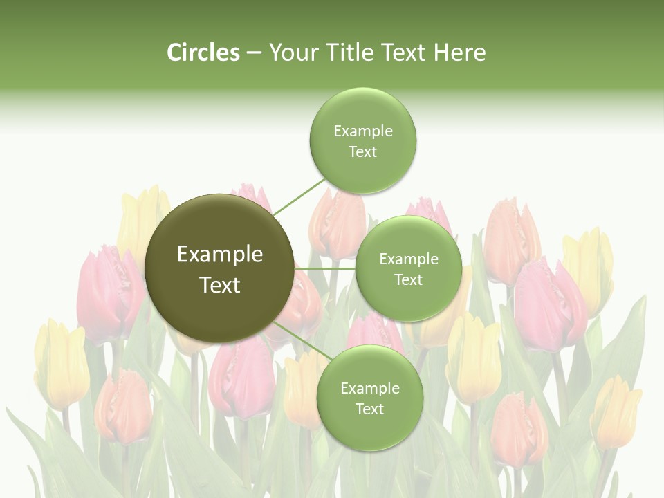 Arrangement Fresh Bouquet PowerPoint Template