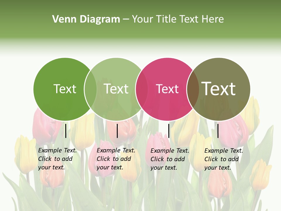 Arrangement Fresh Bouquet PowerPoint Template