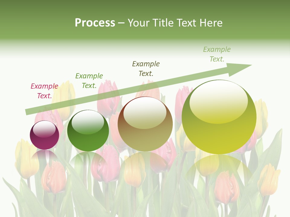 Arrangement Fresh Bouquet PowerPoint Template