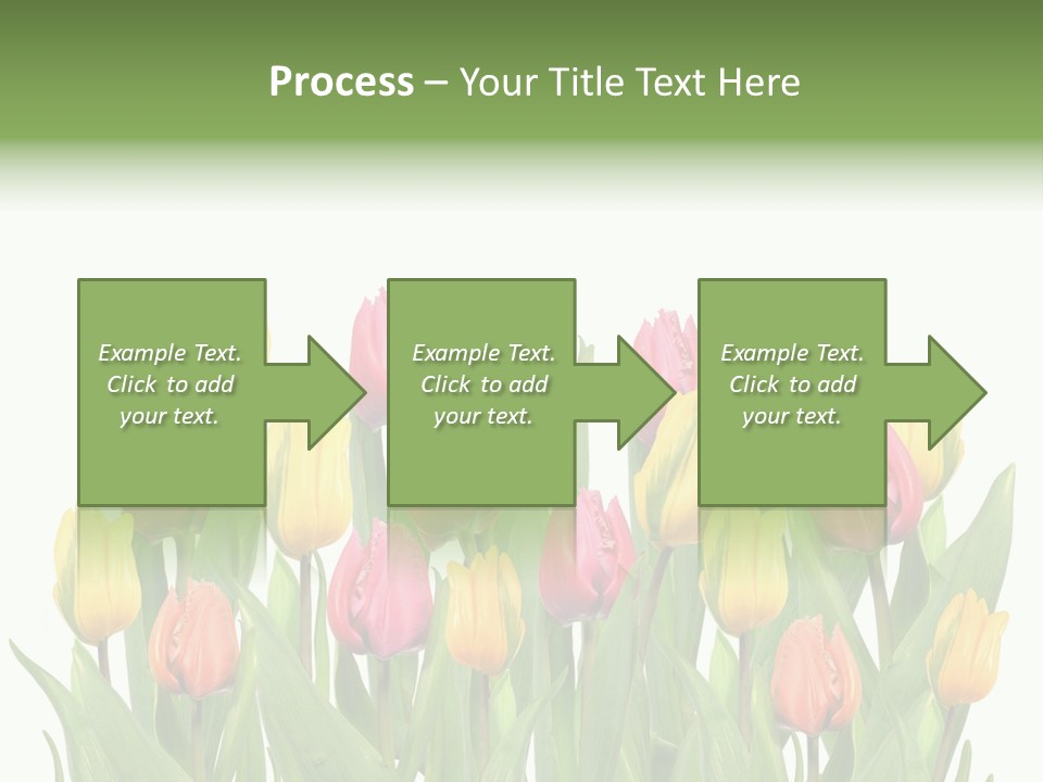 Arrangement Fresh Bouquet PowerPoint Template