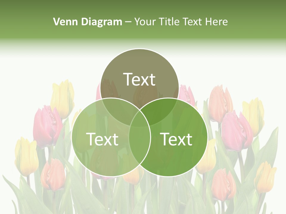 Arrangement Fresh Bouquet PowerPoint Template