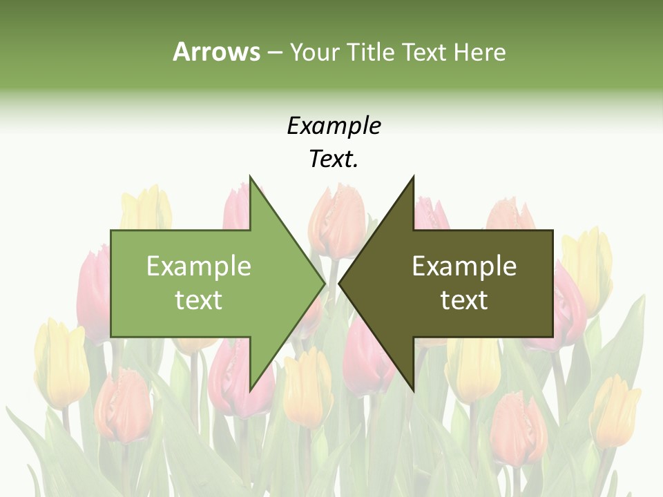 Arrangement Fresh Bouquet PowerPoint Template