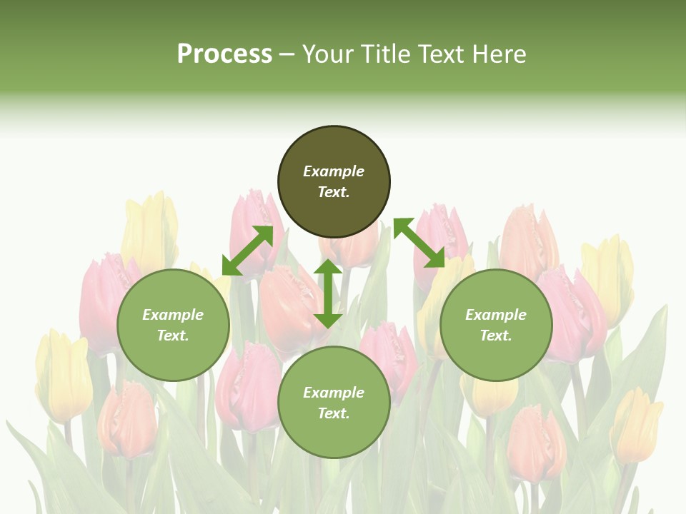 Arrangement Fresh Bouquet PowerPoint Template