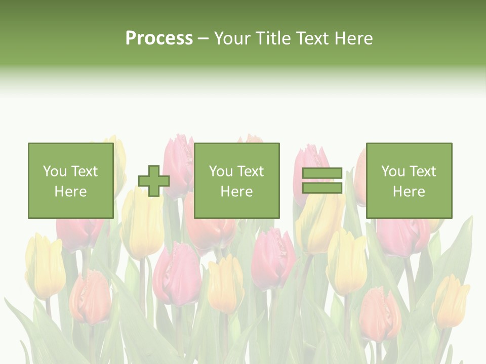 Arrangement Fresh Bouquet PowerPoint Template