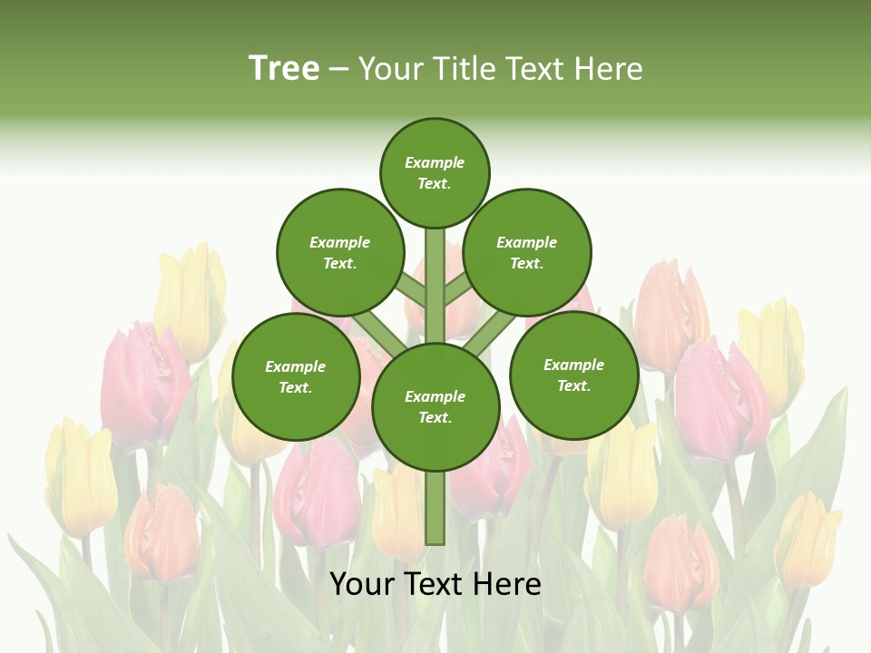 Arrangement Fresh Bouquet PowerPoint Template
