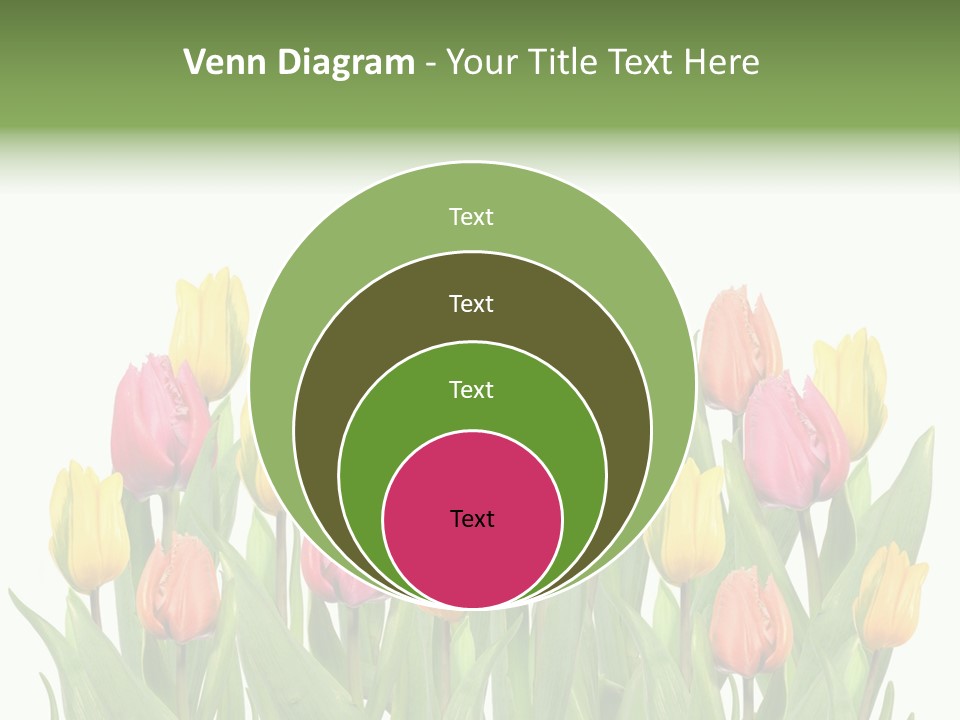 Arrangement Fresh Bouquet PowerPoint Template