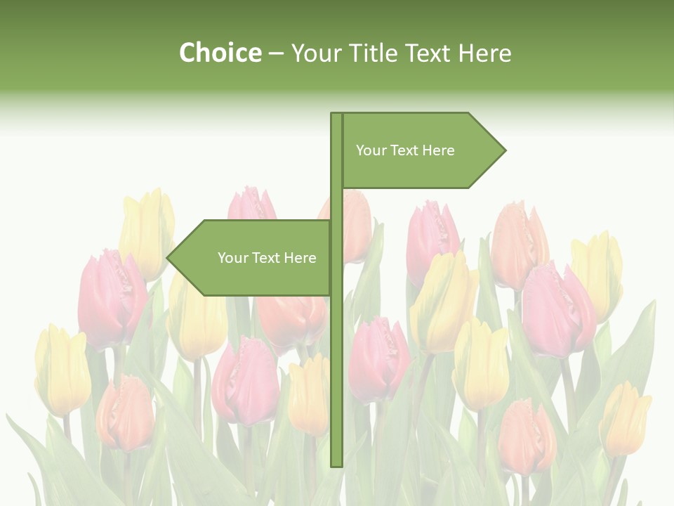 Arrangement Fresh Bouquet PowerPoint Template