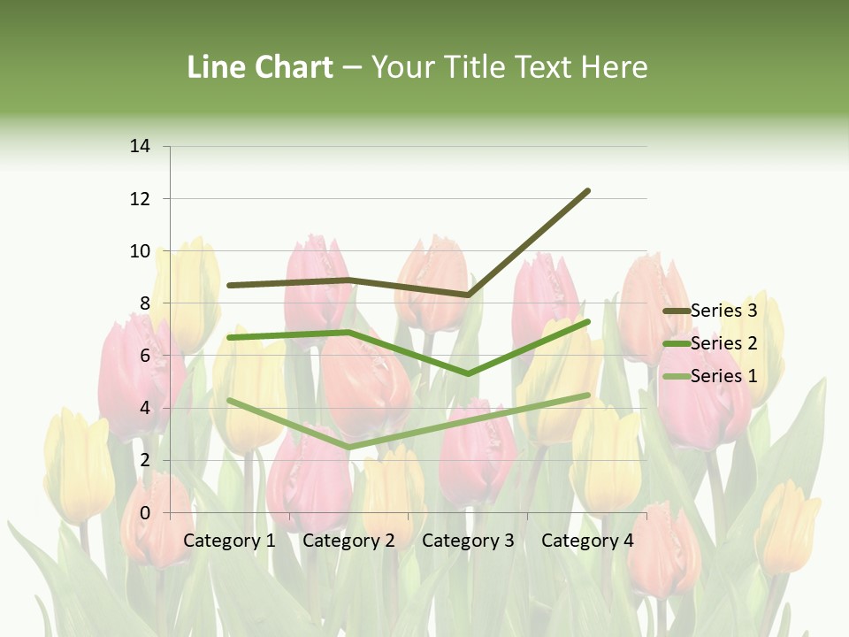 Arrangement Fresh Bouquet PowerPoint Template