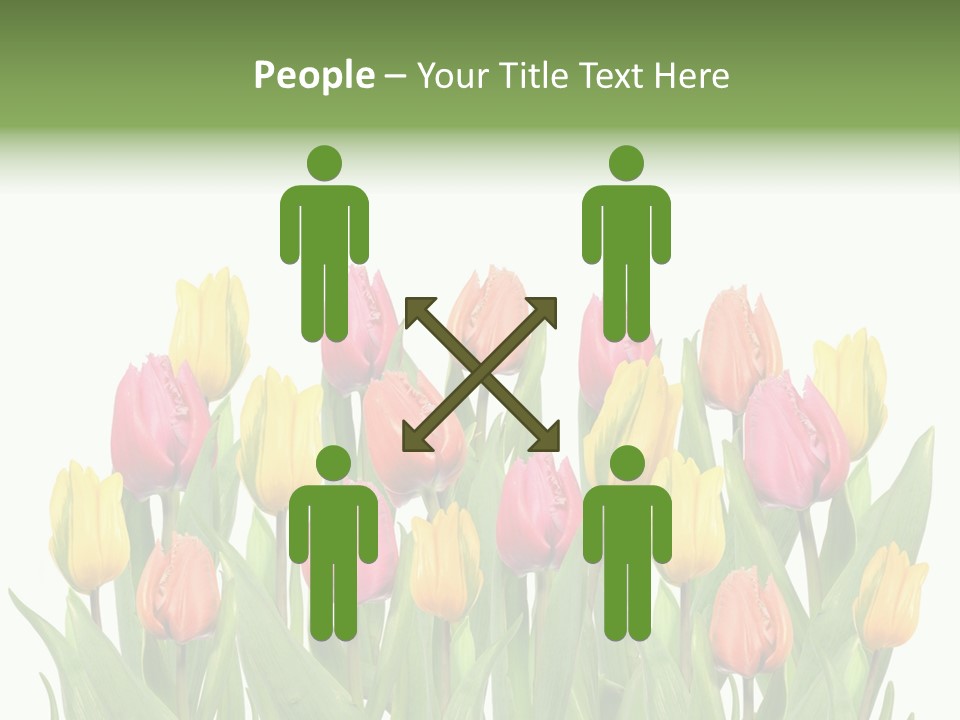 Arrangement Fresh Bouquet PowerPoint Template