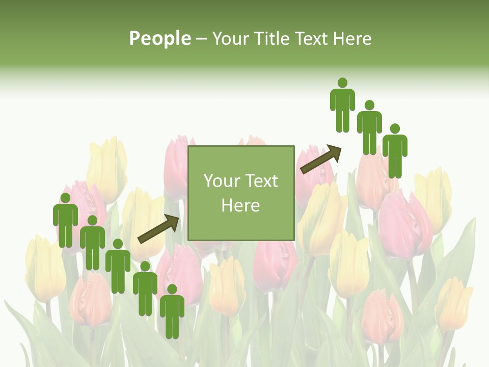 Arrangement Fresh Bouquet PowerPoint Template