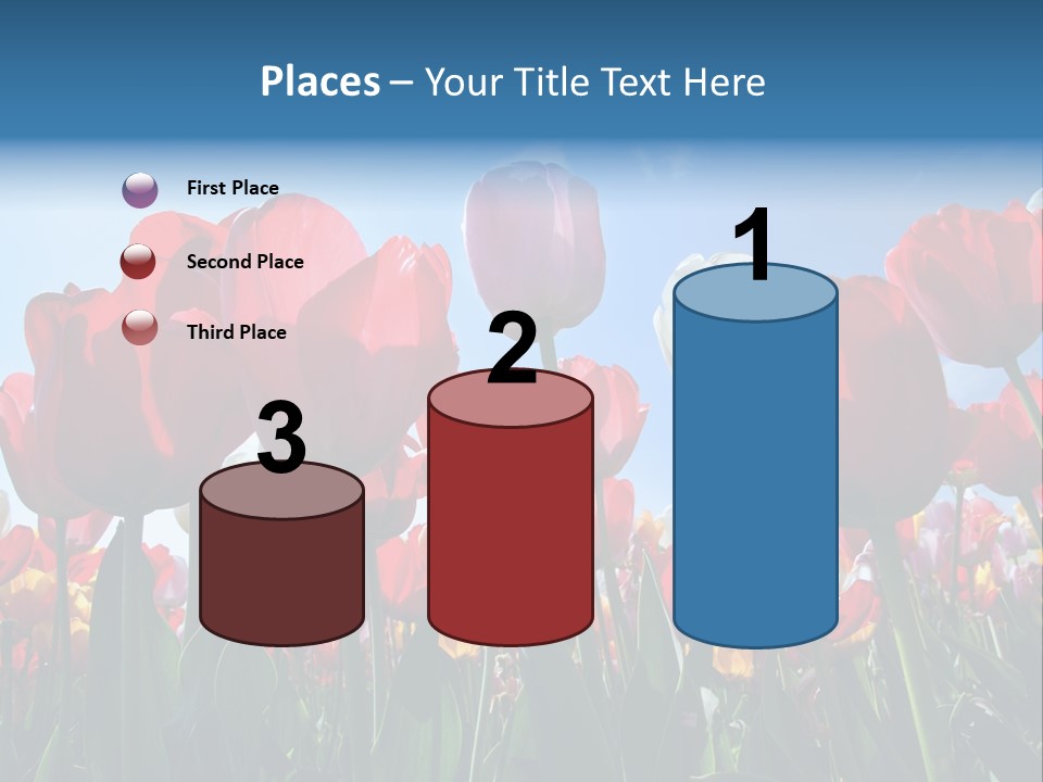 Beauty Of Nature Background Tulip PowerPoint Template