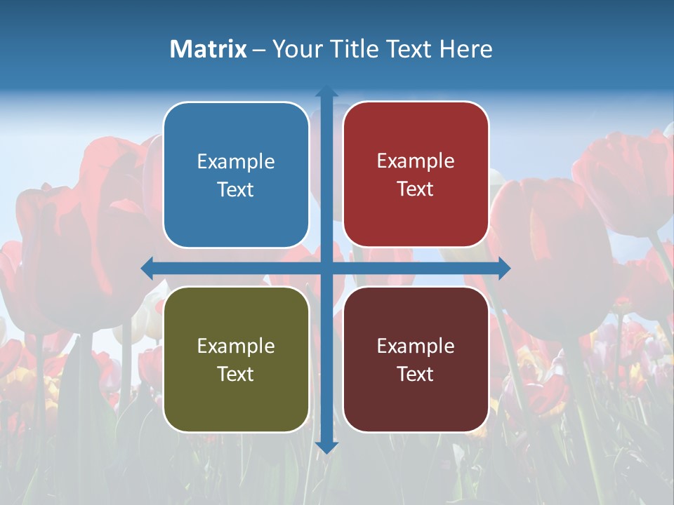 Beauty Of Nature Background Tulip PowerPoint Template