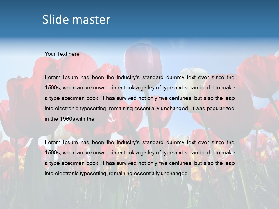 Beauty Of Nature Background Tulip PowerPoint Template