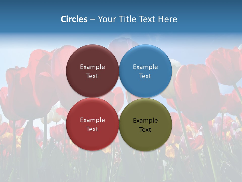 Beauty Of Nature Background Tulip PowerPoint Template