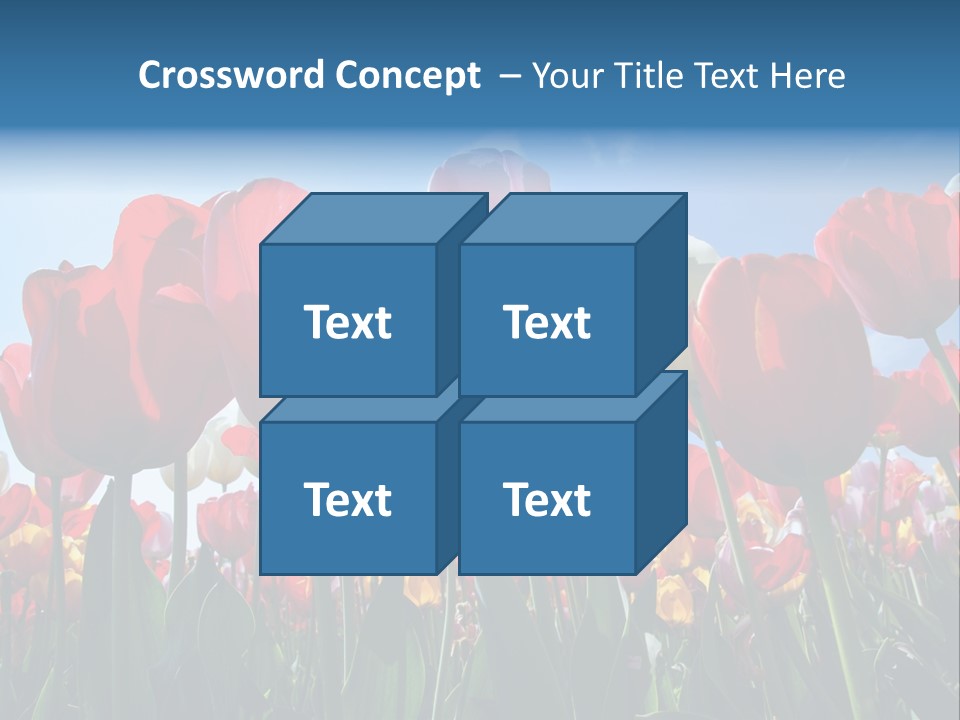 Beauty Of Nature Background Tulip PowerPoint Template