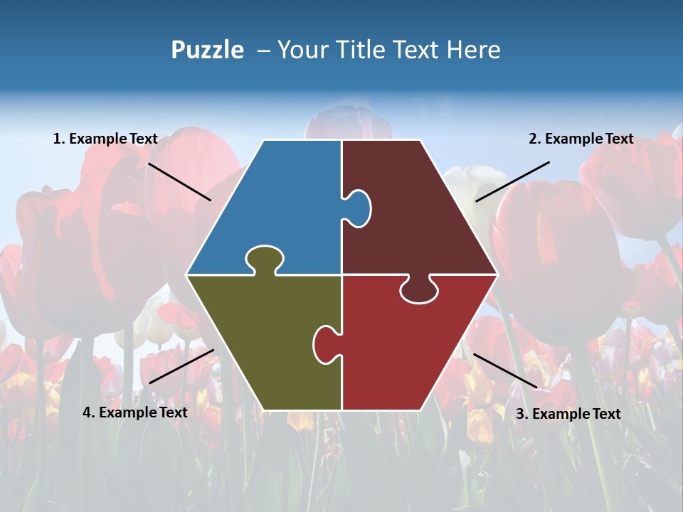 Beauty Of Nature Background Tulip PowerPoint Template