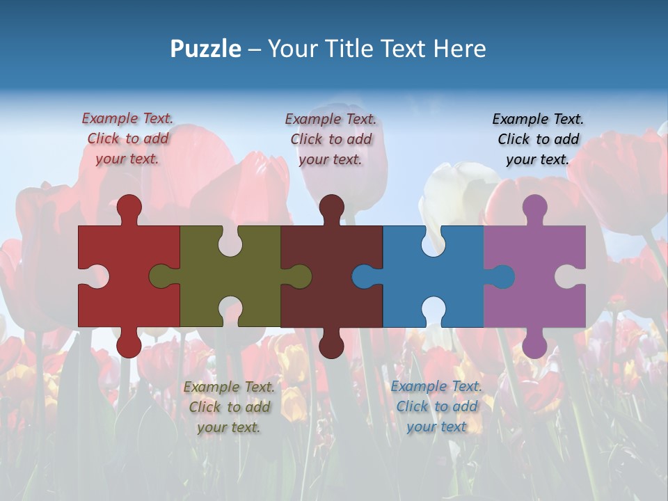 Beauty Of Nature Background Tulip PowerPoint Template