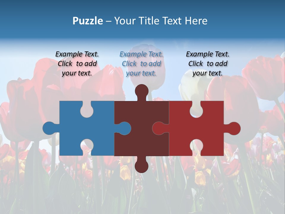 Beauty Of Nature Background Tulip PowerPoint Template