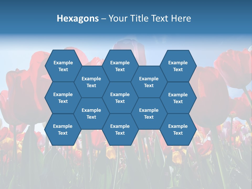 Beauty Of Nature Background Tulip PowerPoint Template