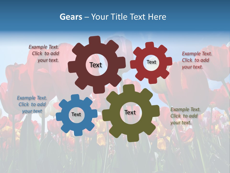 Beauty Of Nature Background Tulip PowerPoint Template