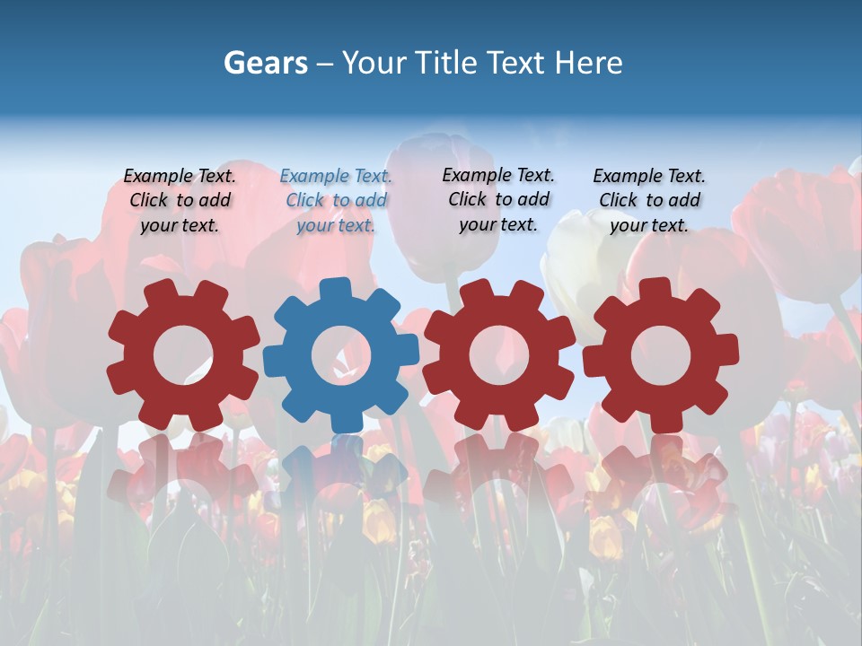 Beauty Of Nature Background Tulip PowerPoint Template