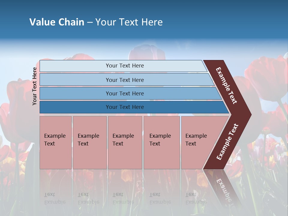 Beauty Of Nature Background Tulip PowerPoint Template