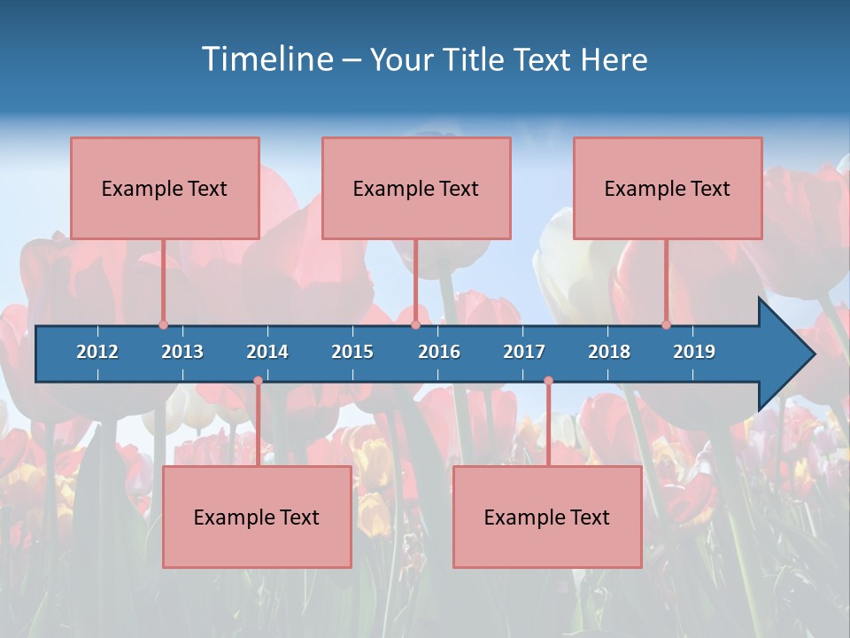 Beauty Of Nature Background Tulip PowerPoint Template