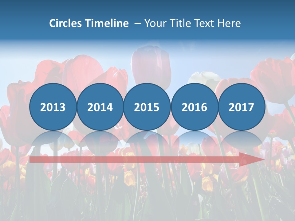 Beauty Of Nature Background Tulip PowerPoint Template