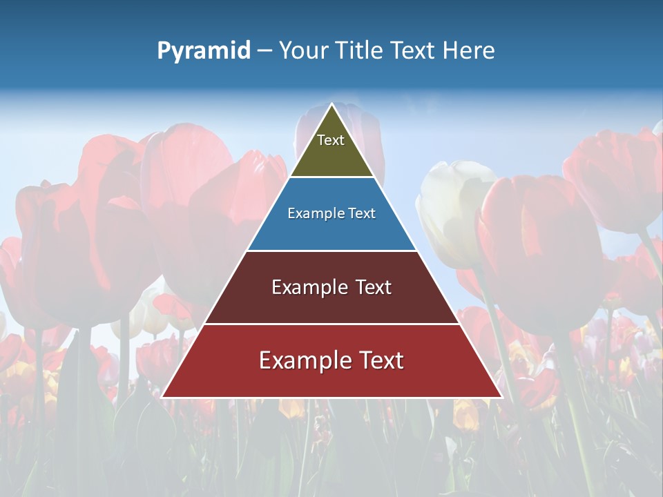 Beauty Of Nature Background Tulip PowerPoint Template