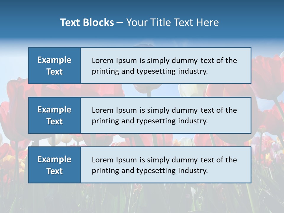 Beauty Of Nature Background Tulip PowerPoint Template