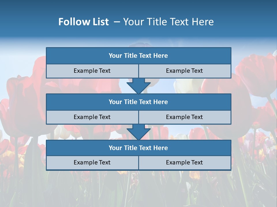 Beauty Of Nature Background Tulip PowerPoint Template