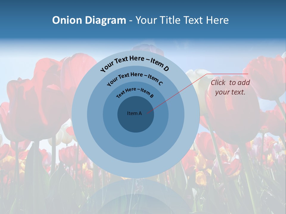 Beauty Of Nature Background Tulip PowerPoint Template