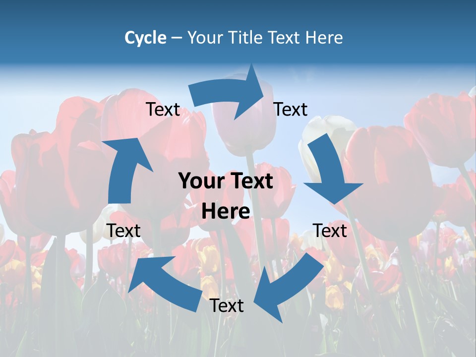 Beauty Of Nature Background Tulip PowerPoint Template