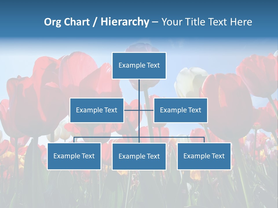 Beauty Of Nature Background Tulip PowerPoint Template