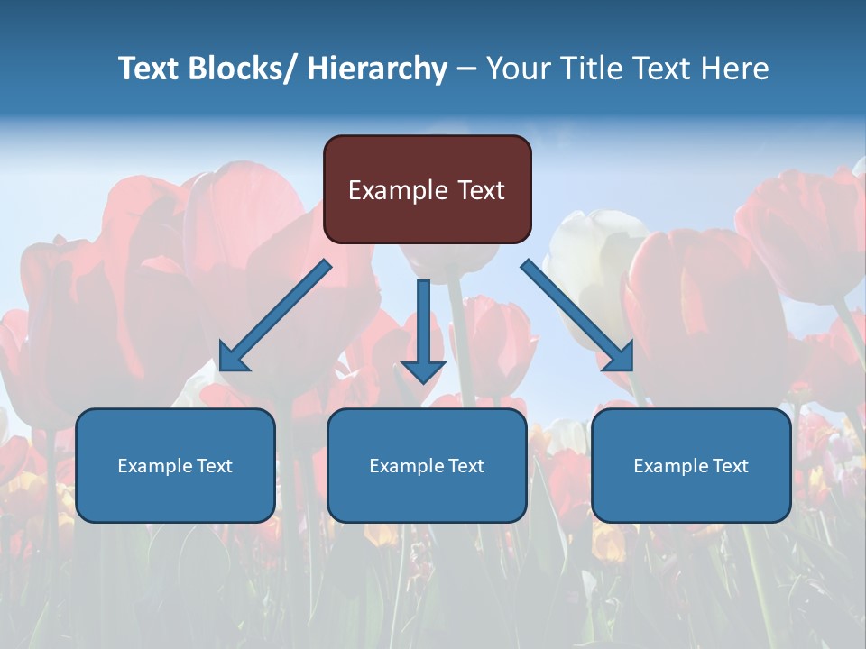 Beauty Of Nature Background Tulip PowerPoint Template