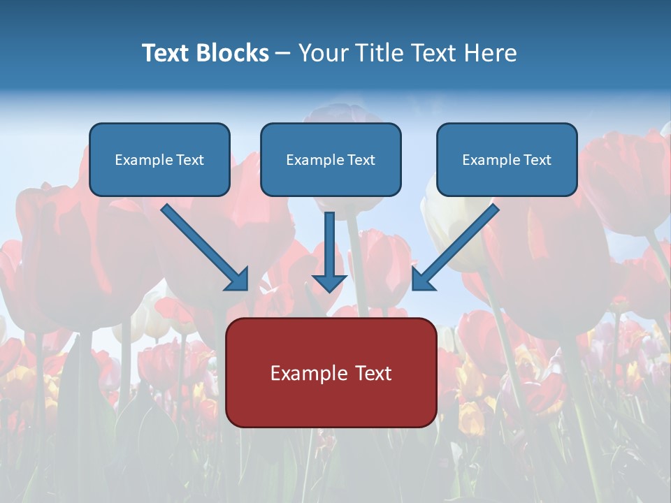 Beauty Of Nature Background Tulip PowerPoint Template
