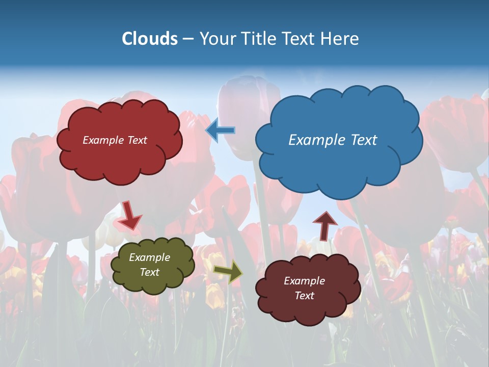 Beauty Of Nature Background Tulip PowerPoint Template