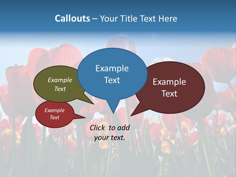 Beauty Of Nature Background Tulip PowerPoint Template