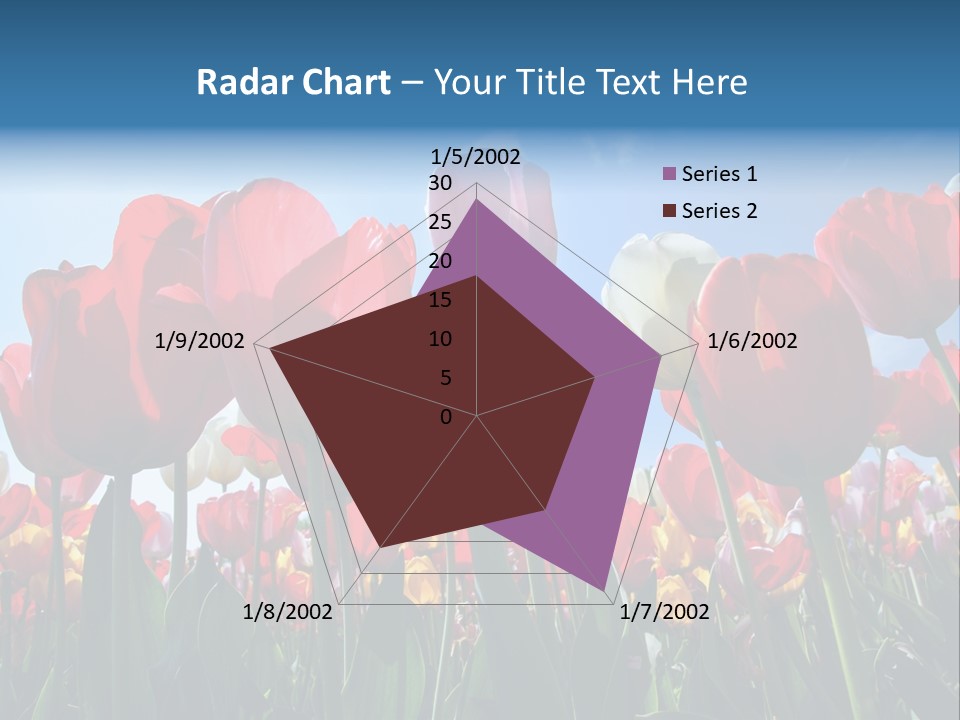 Beauty Of Nature Background Tulip PowerPoint Template