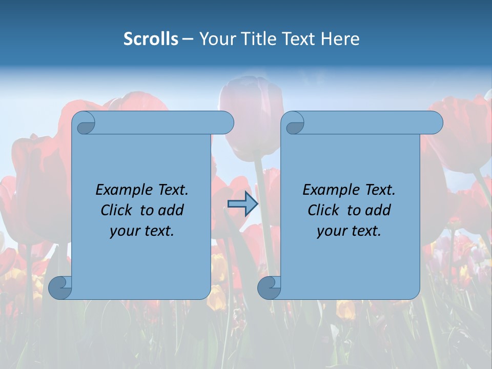 Beauty Of Nature Background Tulip PowerPoint Template