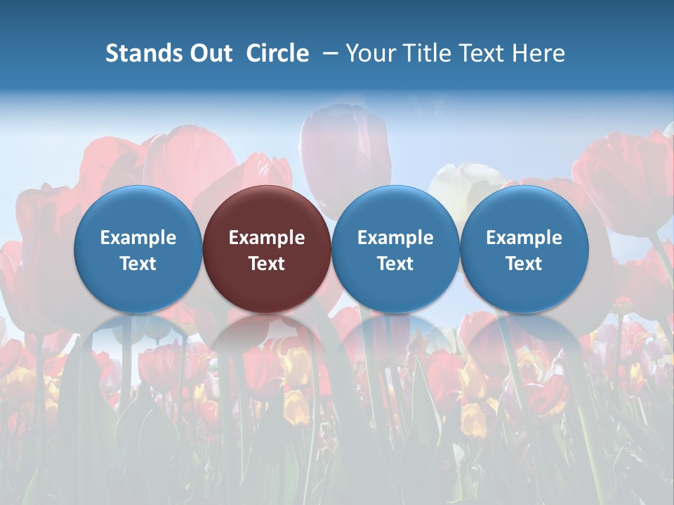 Beauty Of Nature Background Tulip PowerPoint Template