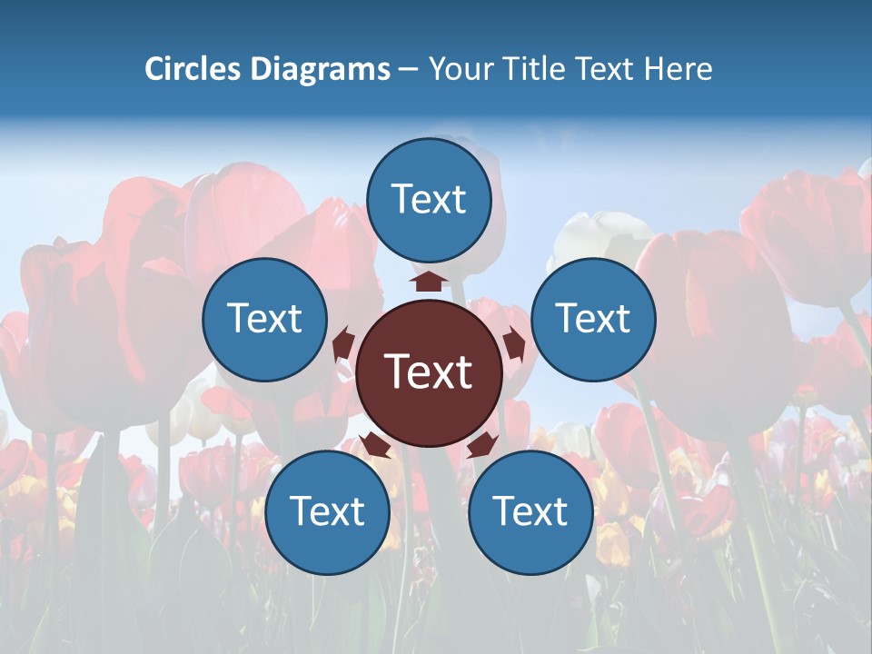 Beauty Of Nature Background Tulip PowerPoint Template