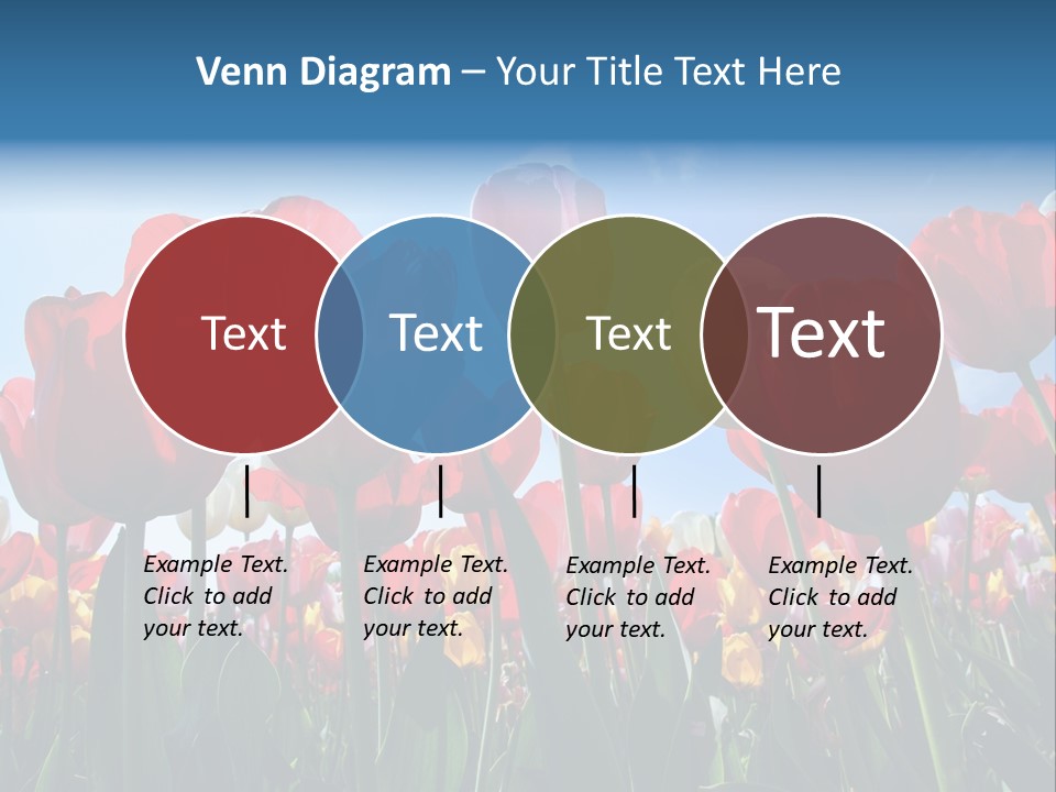 Beauty Of Nature Background Tulip PowerPoint Template