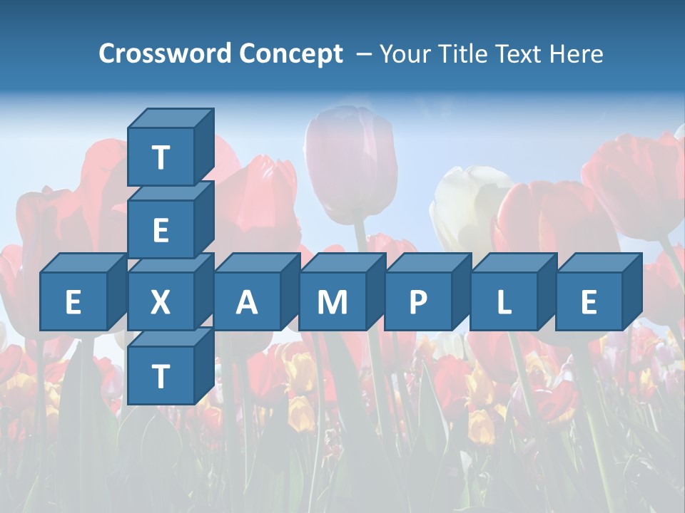 Beauty Of Nature Background Tulip PowerPoint Template