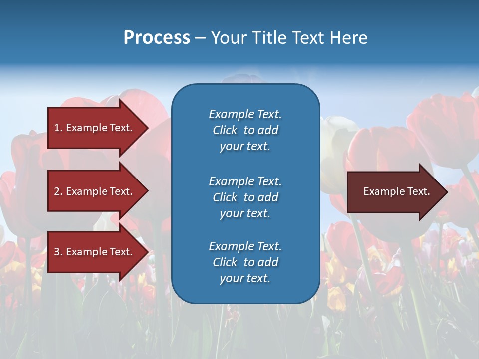 Beauty Of Nature Background Tulip PowerPoint Template
