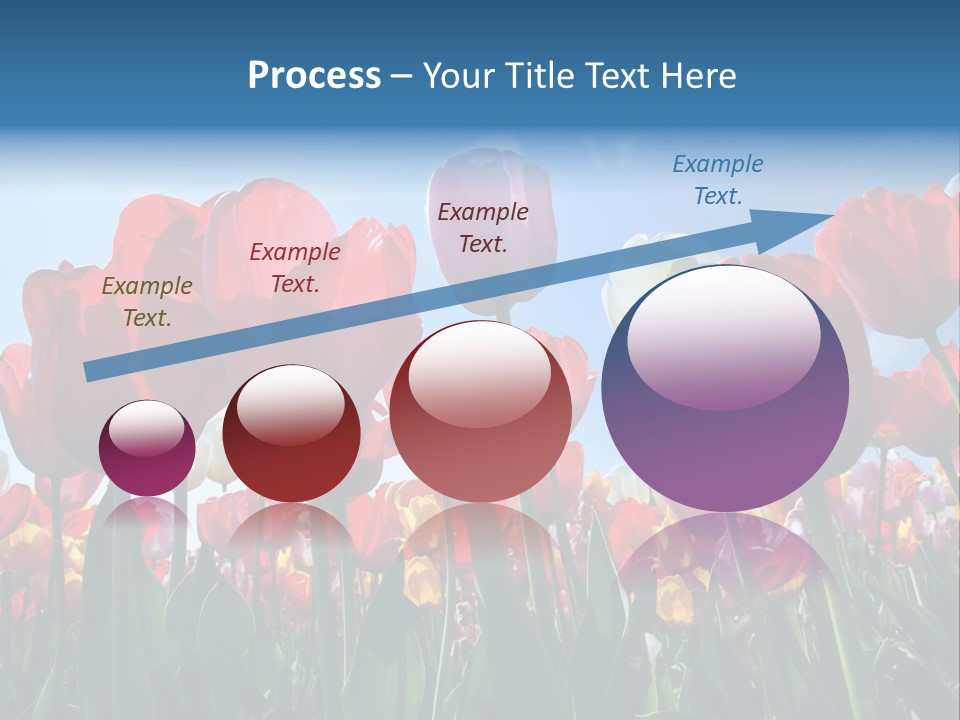 Beauty Of Nature Background Tulip PowerPoint Template
