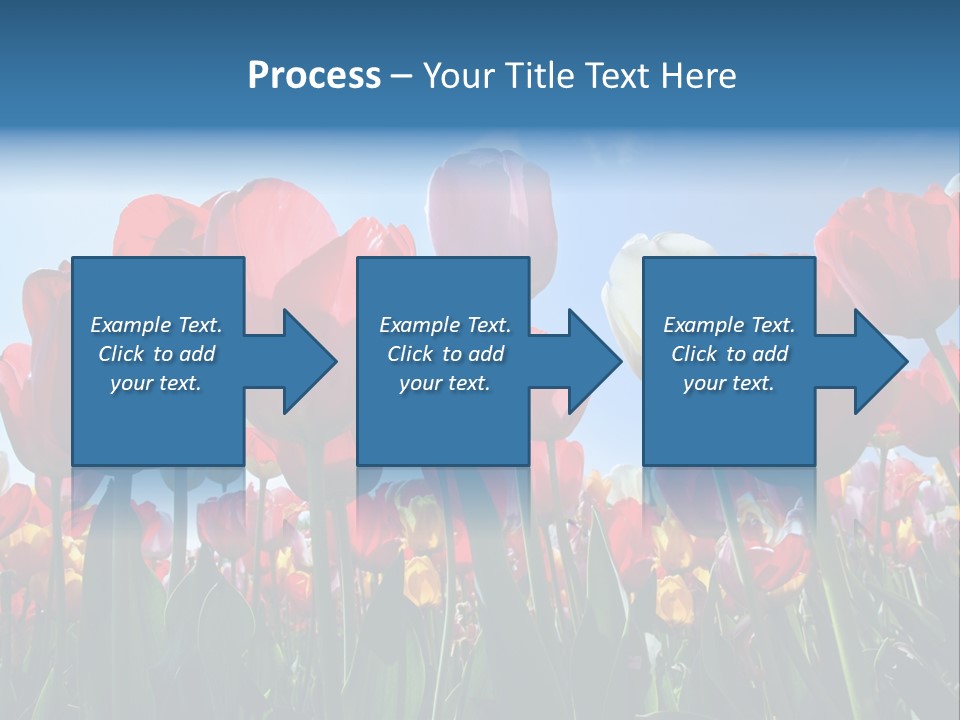 Beauty Of Nature Background Tulip PowerPoint Template