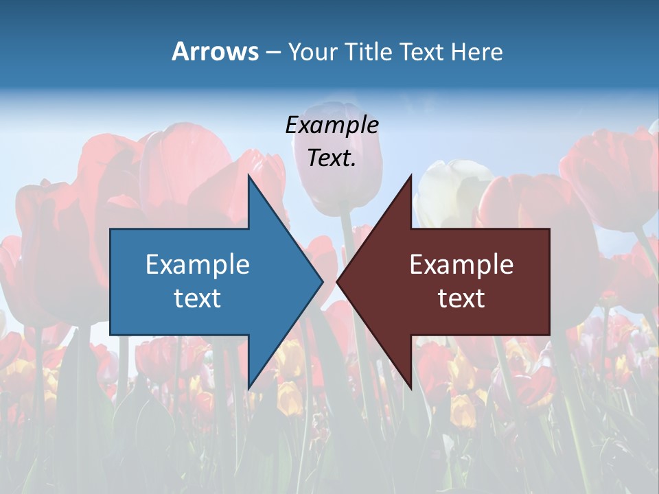 Beauty Of Nature Background Tulip PowerPoint Template